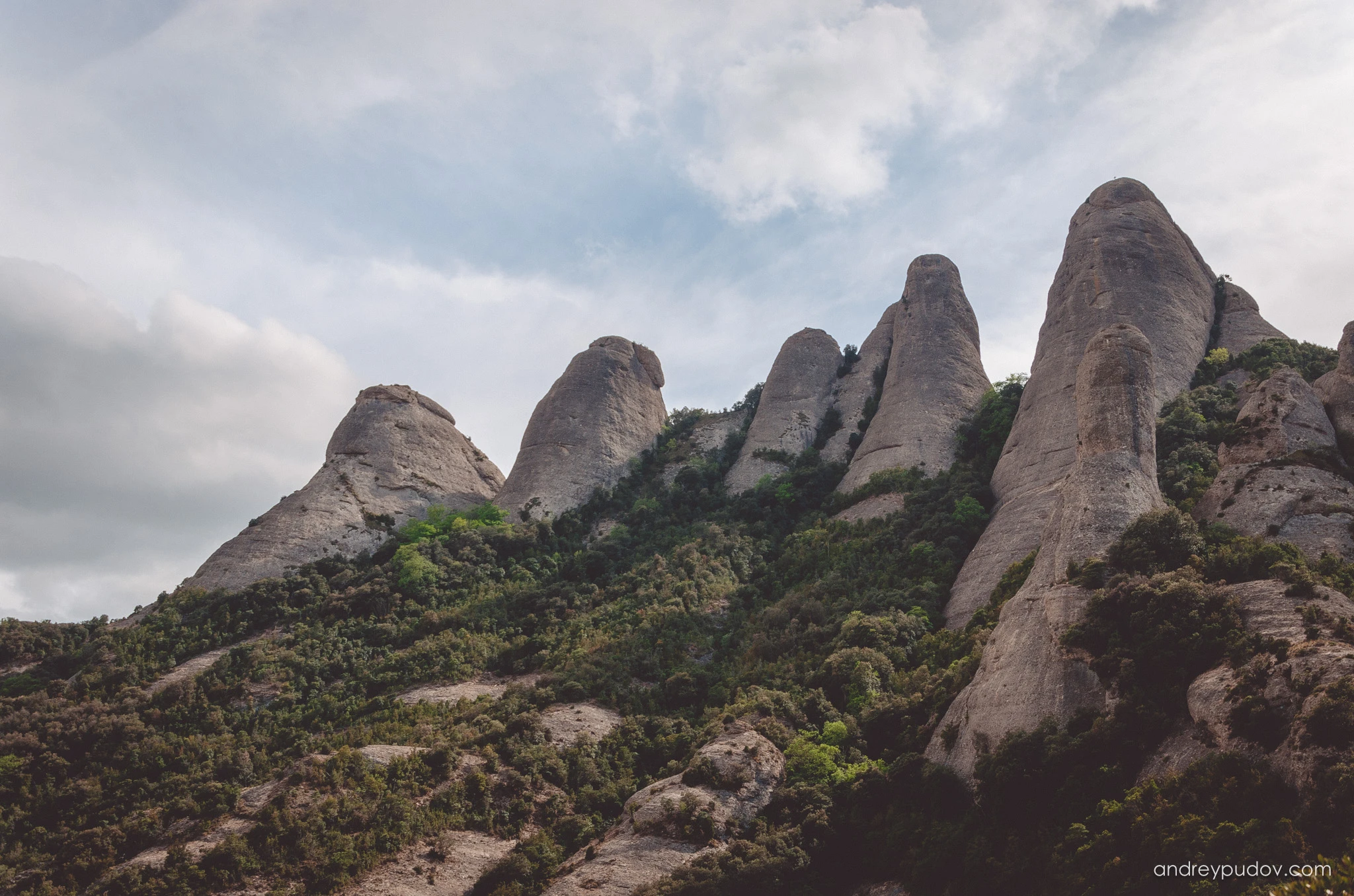 Montserrat - The massif, some 10 kilometres long and 5 kilometres wide, reaches the limits of the regions of Bages, Baix Llobregat and Anoia, and the Natural Park occupies 3,630 hectares of the municipalities of Bruc (Anoia), Marganell and Monistrol de Montserrat (Bages) and Collbató (Baix Llobregat), with almost 2,000 of these hectares as a nature reserve. An additional area of 4,039 hectares is catalogued as a protected zone, with part of the municipalities of Castellbell and El Vilar (Bages), Esparreguera (Baix Llobregat) and Vacarisses (Vallès Occidental).